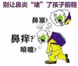 辛夷黄花瓜藤汤可以治疗鼻炎反复